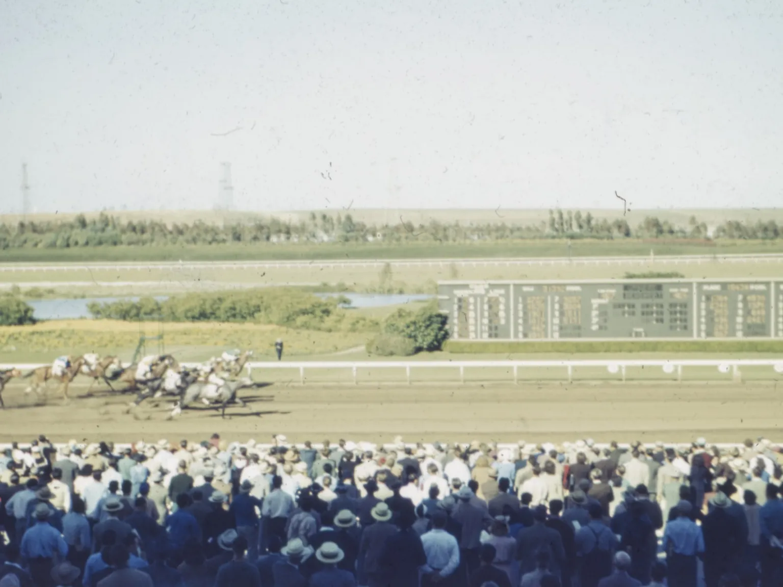 horse race