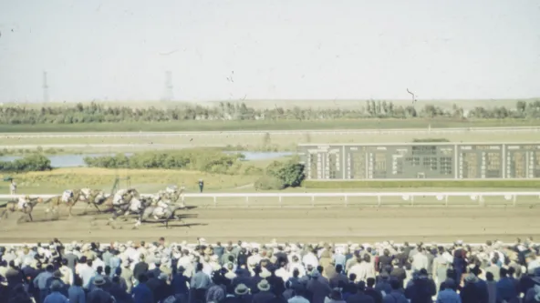 horse race