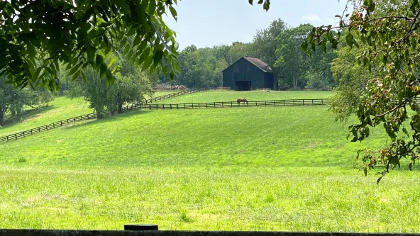 A field with a barn in the distance