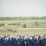 horse race
